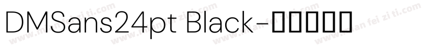 DMSans24pt Black字体转换